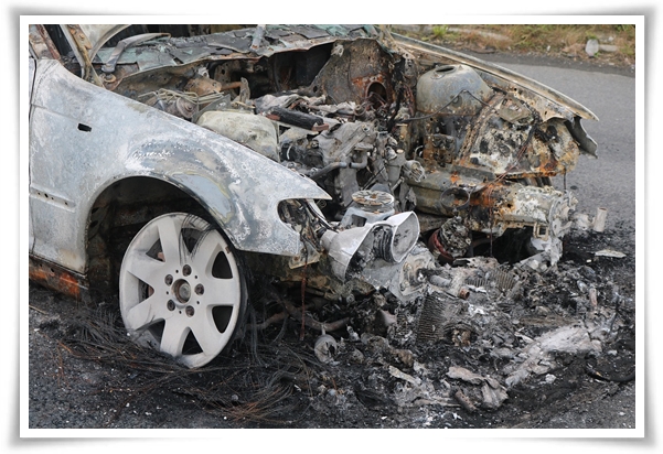 위기 속 희망의 손길! &quot;긴급 돌봄 지원 사업&quot;