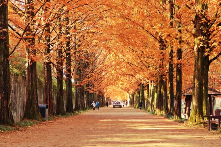 담양 여행지 & 맛집 추천, 감성 가득 담양 1박 2일 힐링 코스 관련 사진