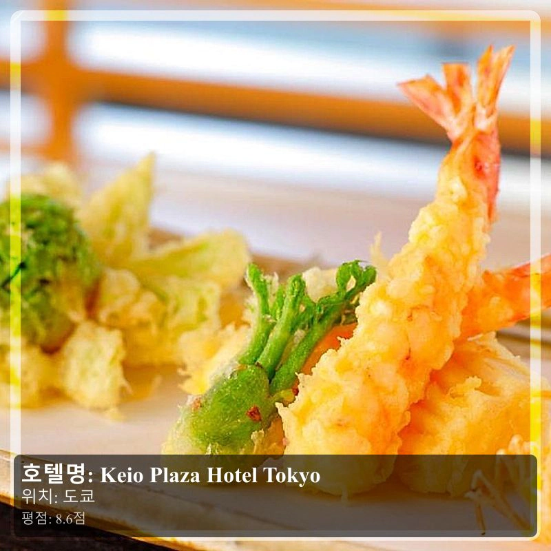 Keio Plaza Hotel Tokyo_5