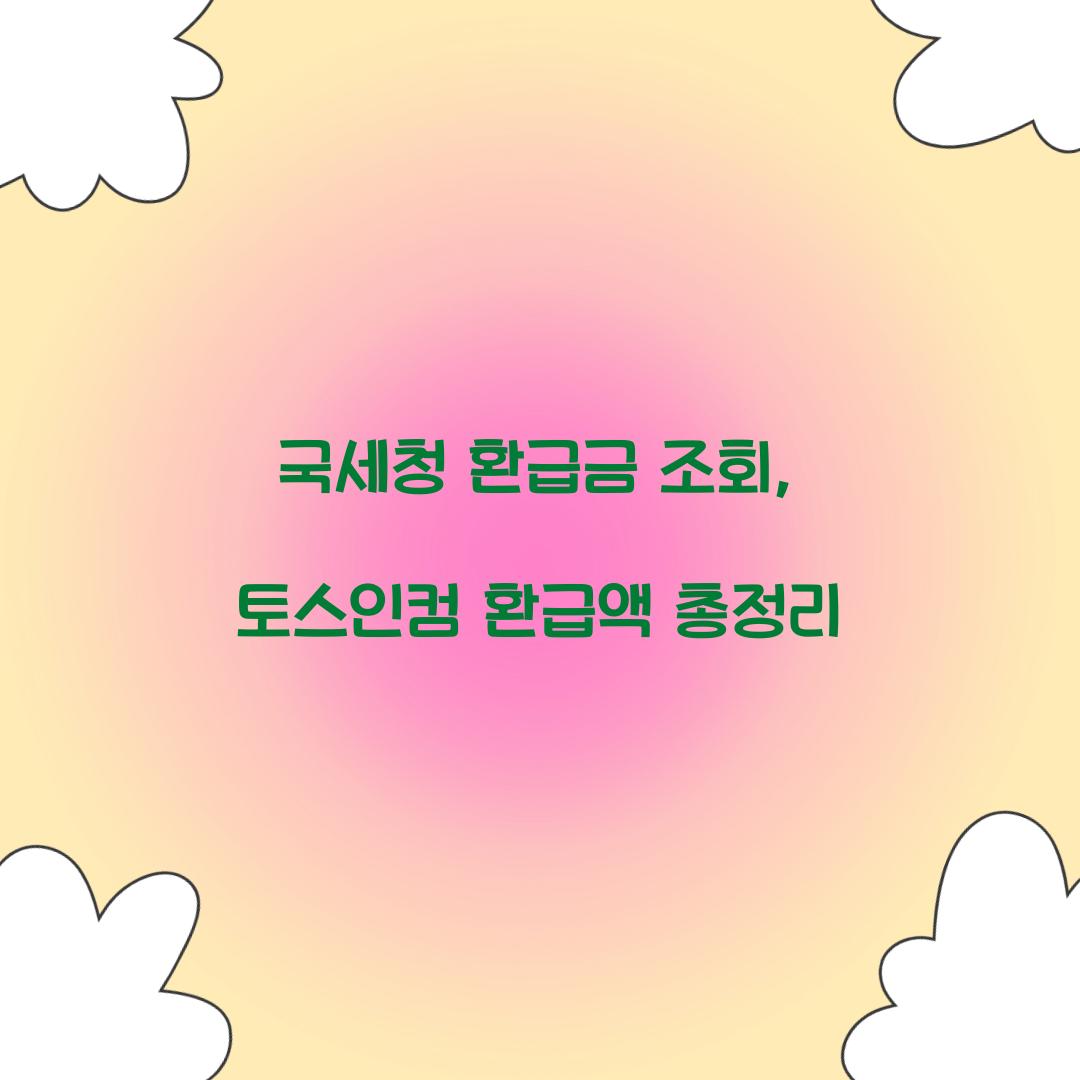 국세청 환급금 조회