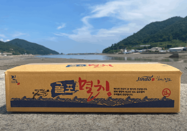 6시 내고향 진도 멸치
