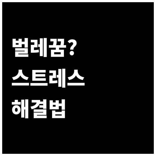 벌레 꿈 꾸는 이유와 스트레스 관리법..