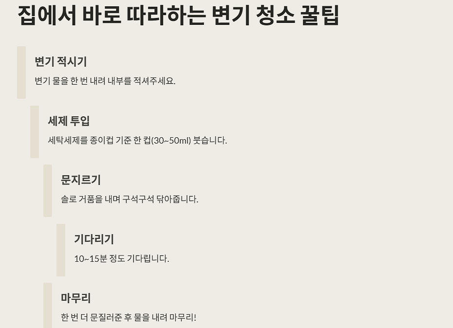 집에서 바로 따라하는 변기 청소 꿀팁