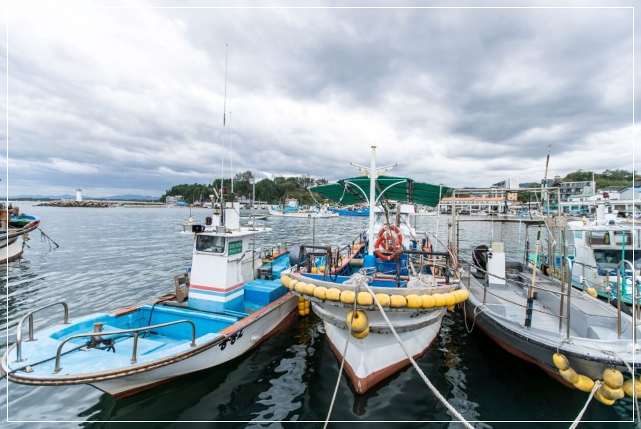 양양 가볼만한곳 베스트10 남애항