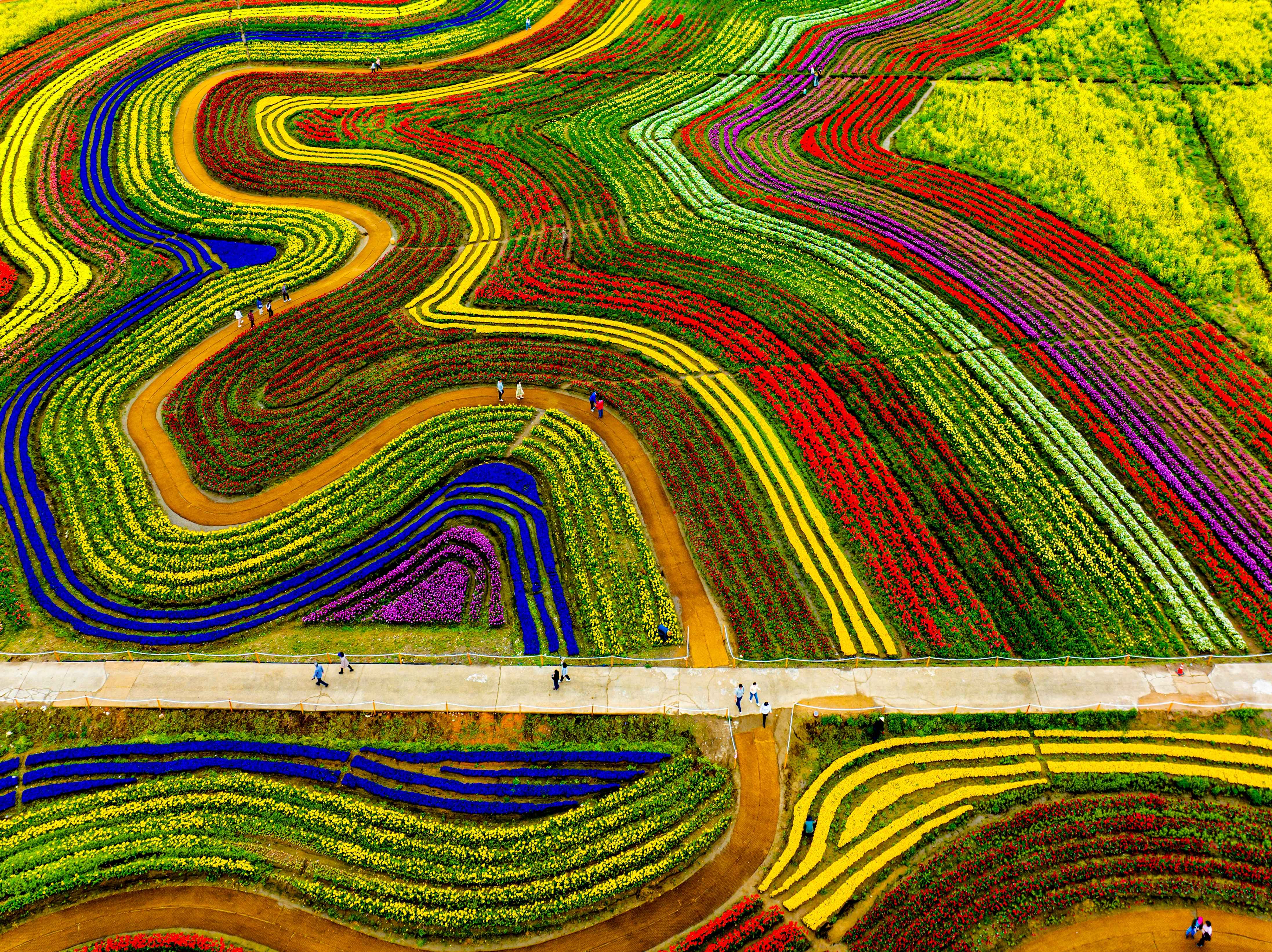 순천만국가정원, 순천가볼만한곳, 순천여행, 순천여행코스