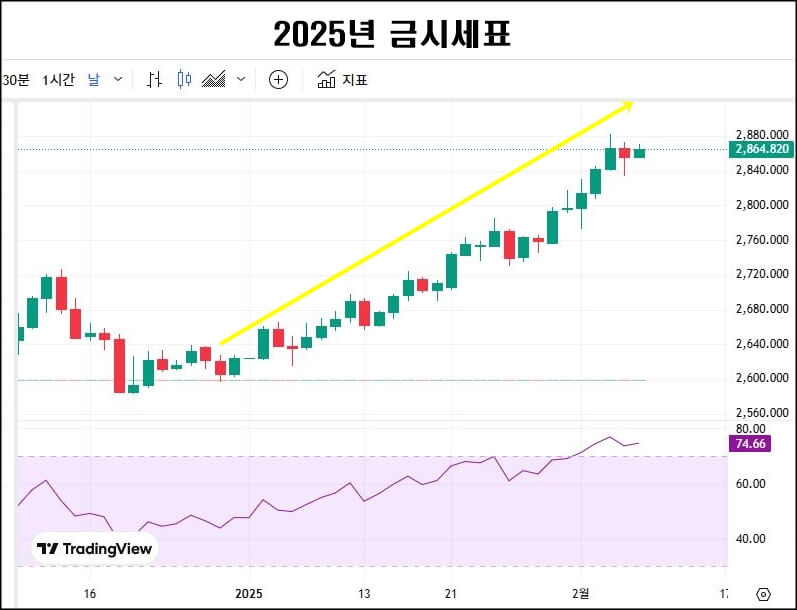 2025년 금값 상승 그래프