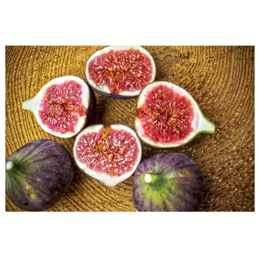 무화과와 관련된 사진입니다.