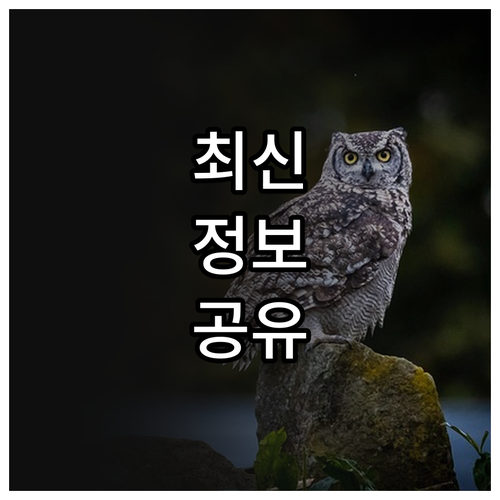 2025 장애인 운전면허 따기 이동의..