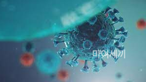 상기도 감염 바이러스