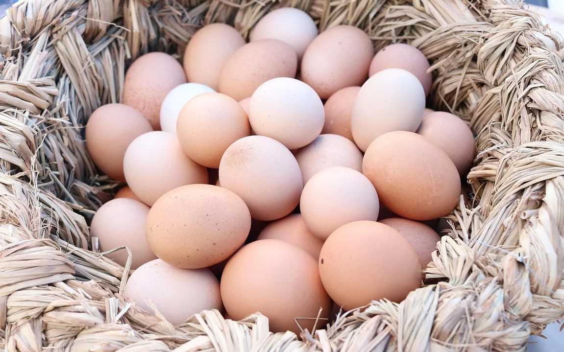 삶은 계란 껍질