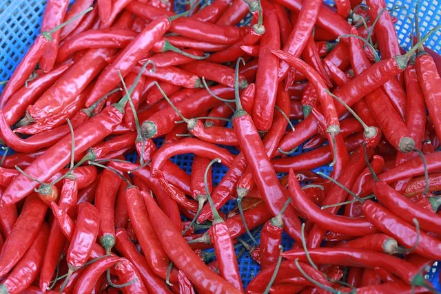 울산(통도사)역 ktx 기차시간표 요금표 예매_7