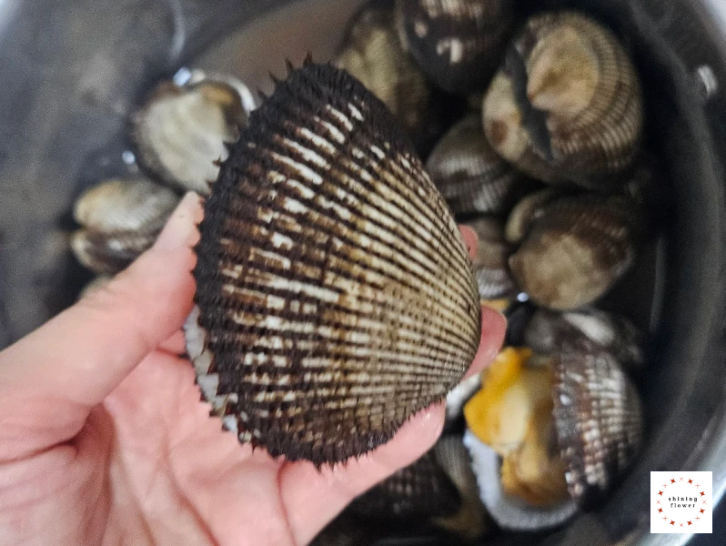 벌교피꼬막-크기