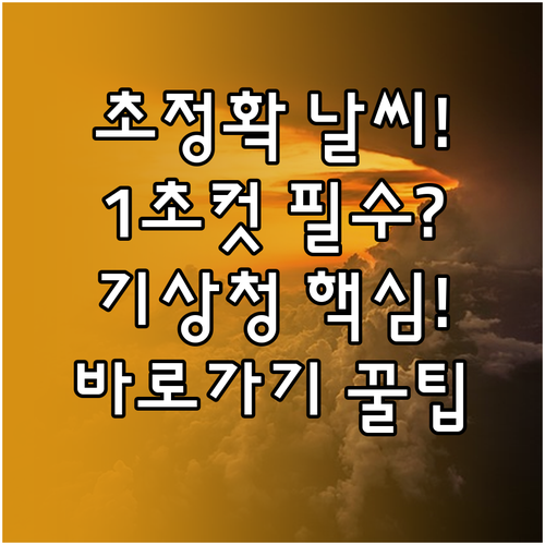 가장 정확한 날씨 1초 확인 기상청 ..