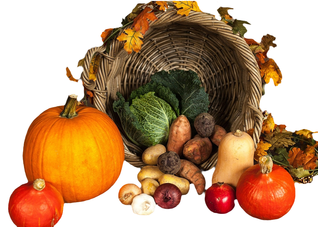 무료 누끼따기 사이트 사진