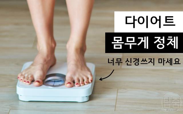 다이어트 정체기 탈출 몸무게가 안줄어요
