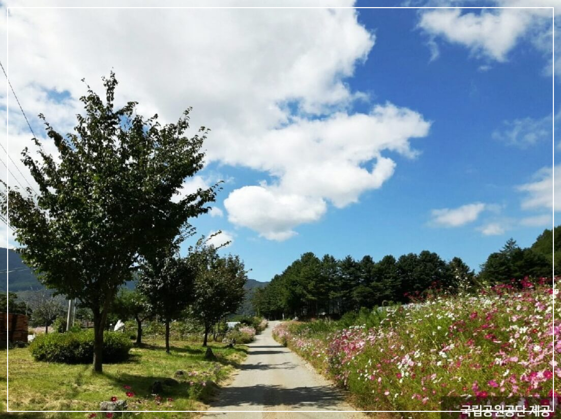 원주 가볼만한곳 베스트10 치악산 국립공원 (비로봉·구룡사)