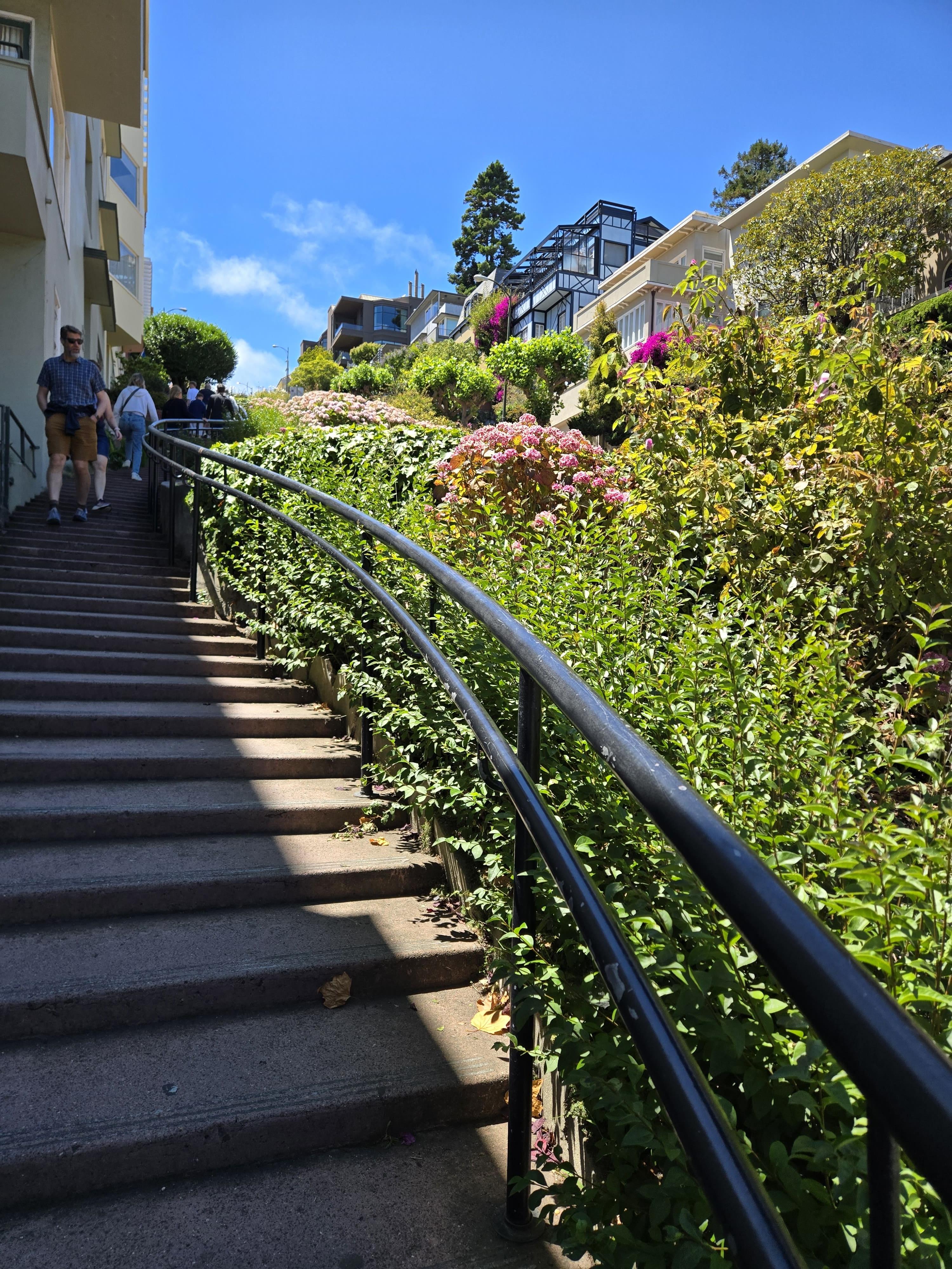 산호세에서 떠난 샌프란시스코 당일치기 여행기 관련사진