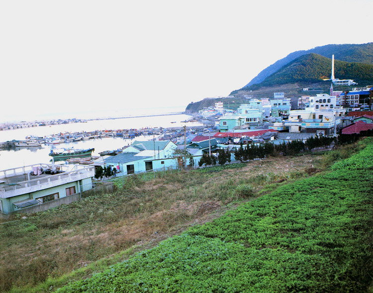 부산 동삼동 유적 출토