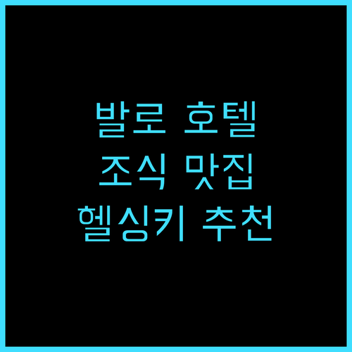 발로 호텔 헬싱키 추천 후기 조식 맛..