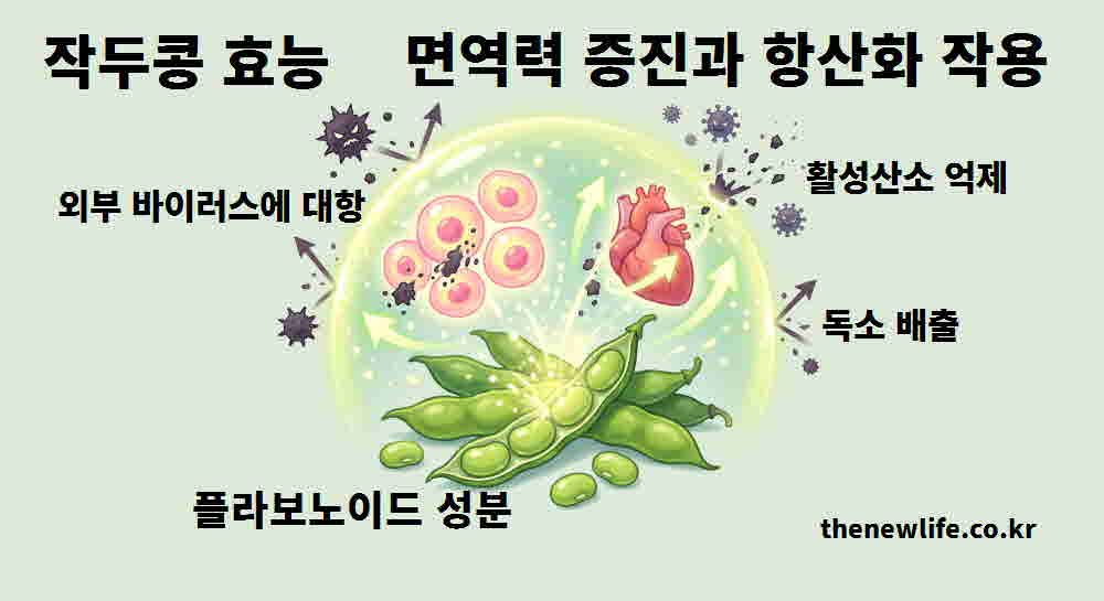 작두콩 효능 면역력 증진 항산화 작용