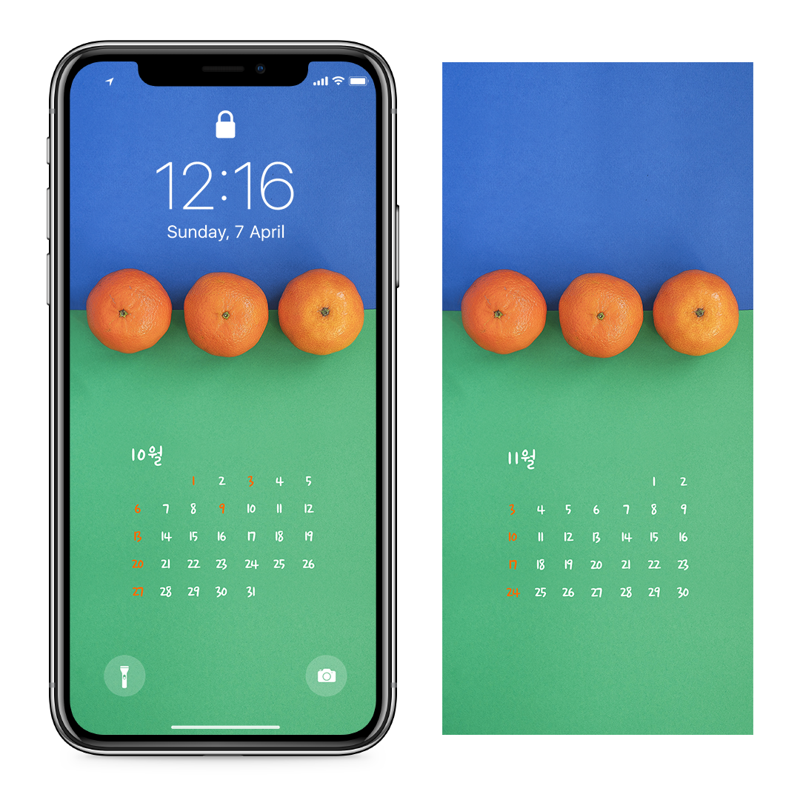 09 감귤 파란색 배경 AB - 2024년10월 아이폰달력배경화면