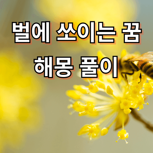 벌에 쏘이는 꿈 해몽 풀이