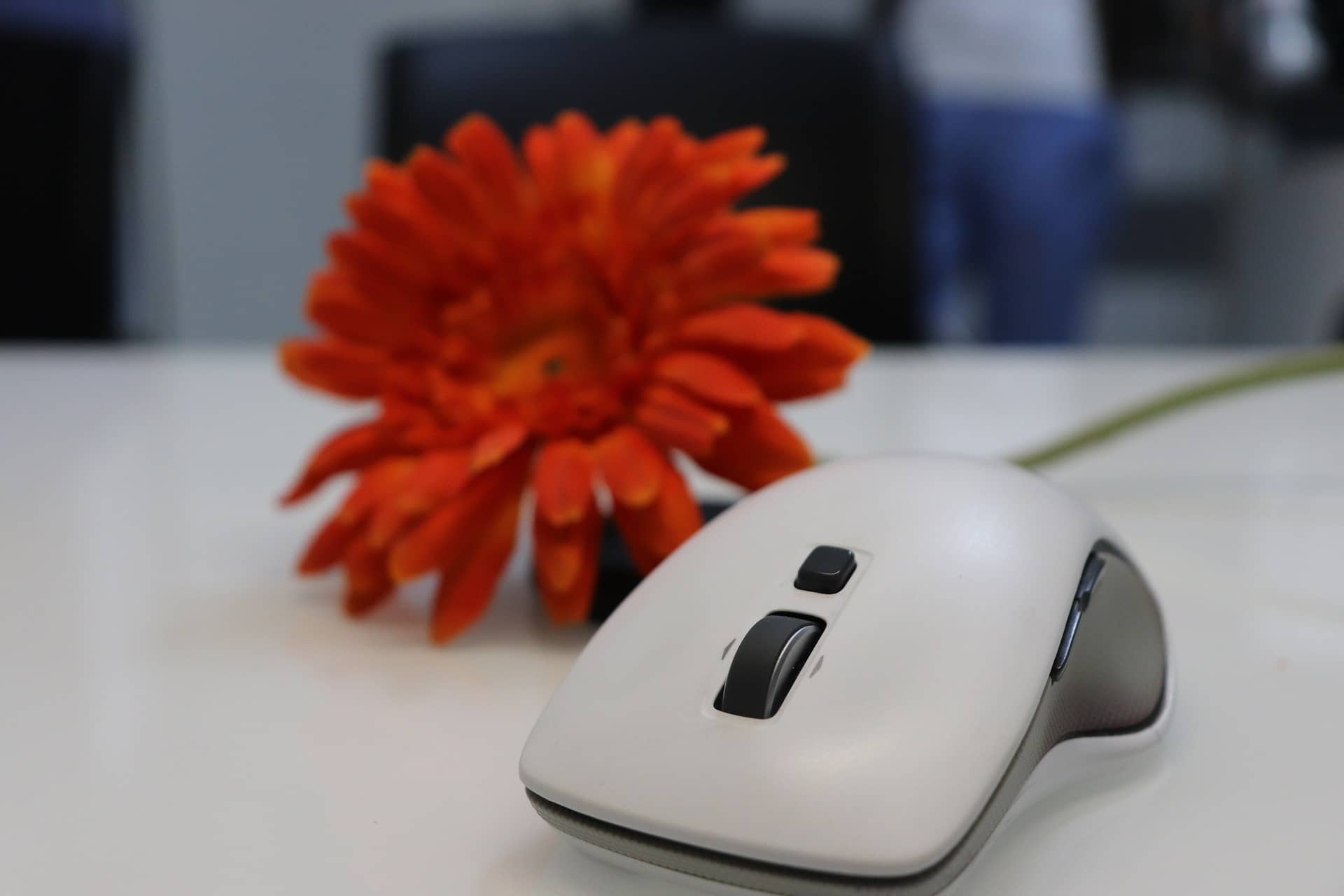 [디지털 미니멀리즘] 디지털 미니멀리즘을 실패하게 만드는 대표적인 오해 5가지