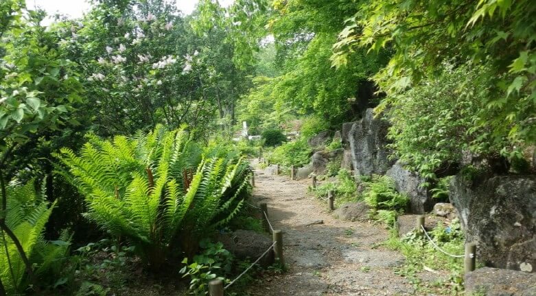 포천 광릉수목원! 숨겨진 힐링 명소, 포천 광릉수목원 완전 정복