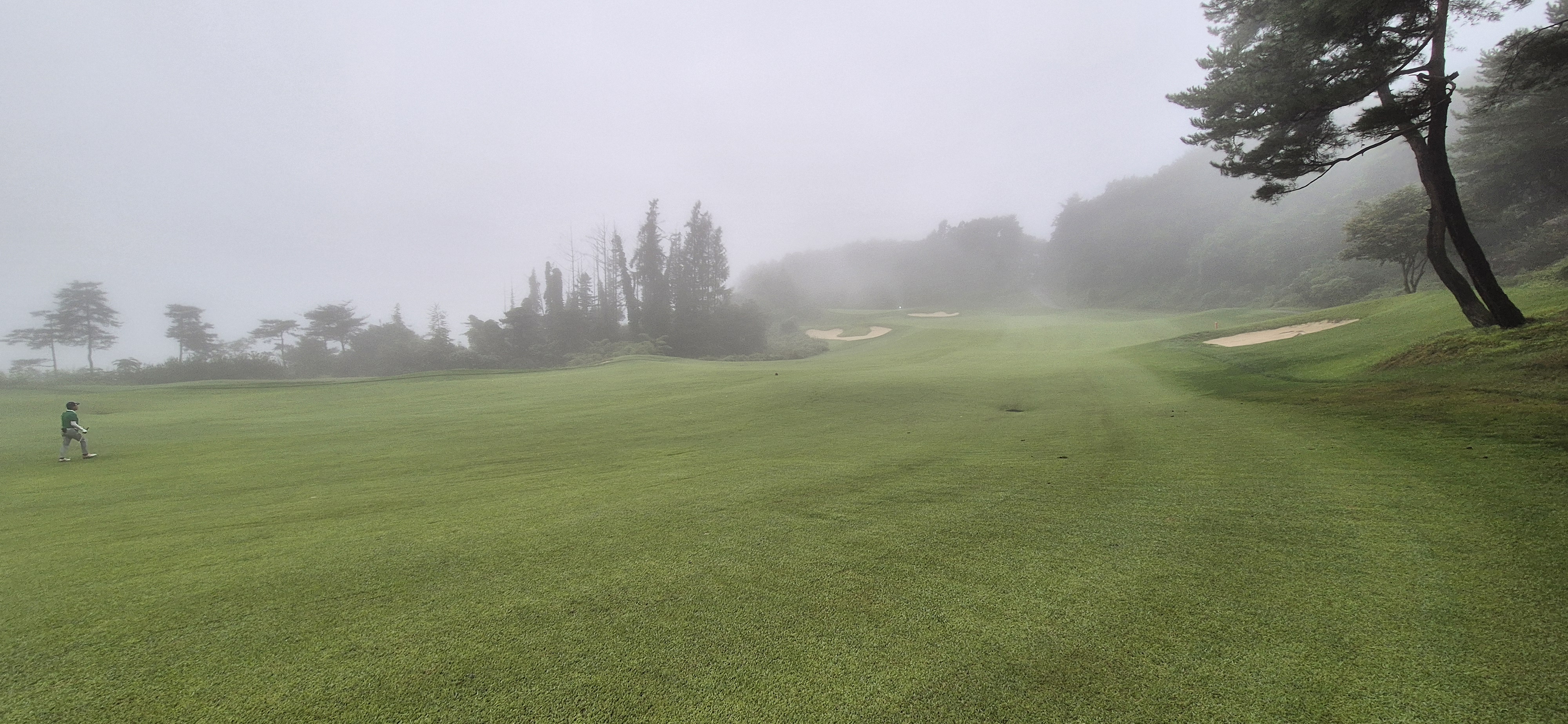 더플레이어스cc