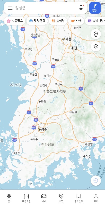 다음 지도
