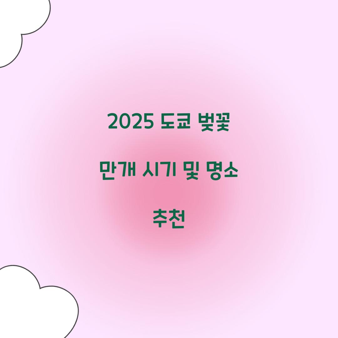 도쿄 벚꽃 만개