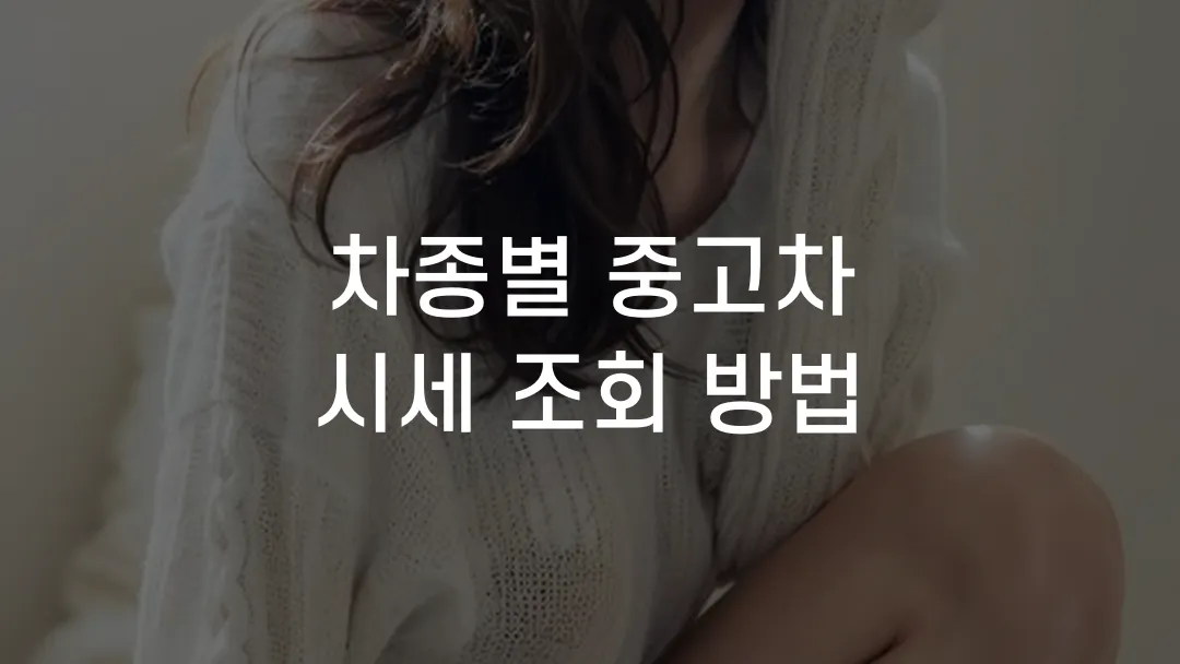 차종별 중고차 시세 조회 방법