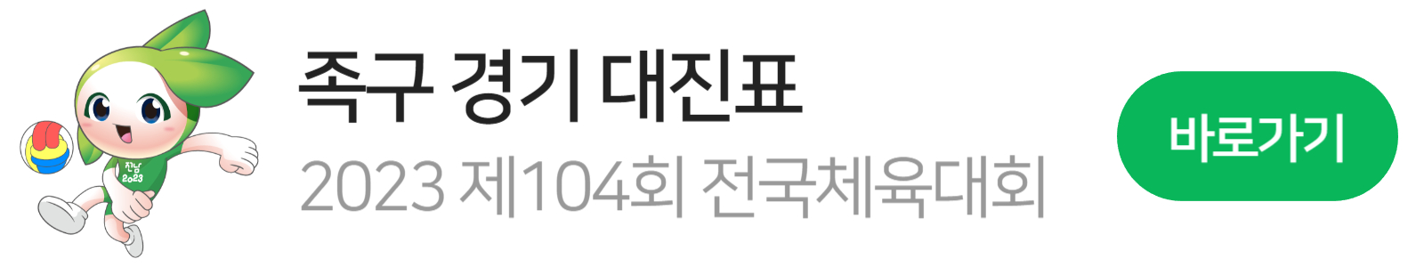 전국체전 족구 마스코트2