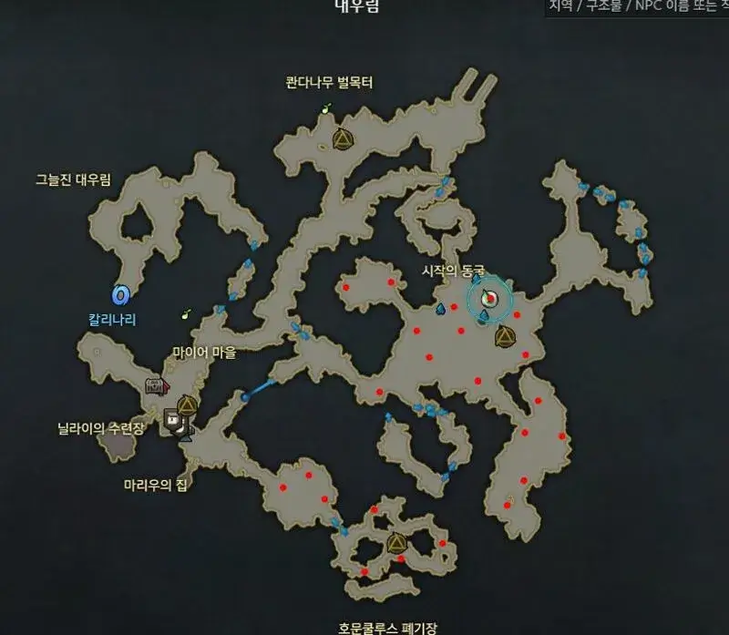 볼다이크 대우림 위치