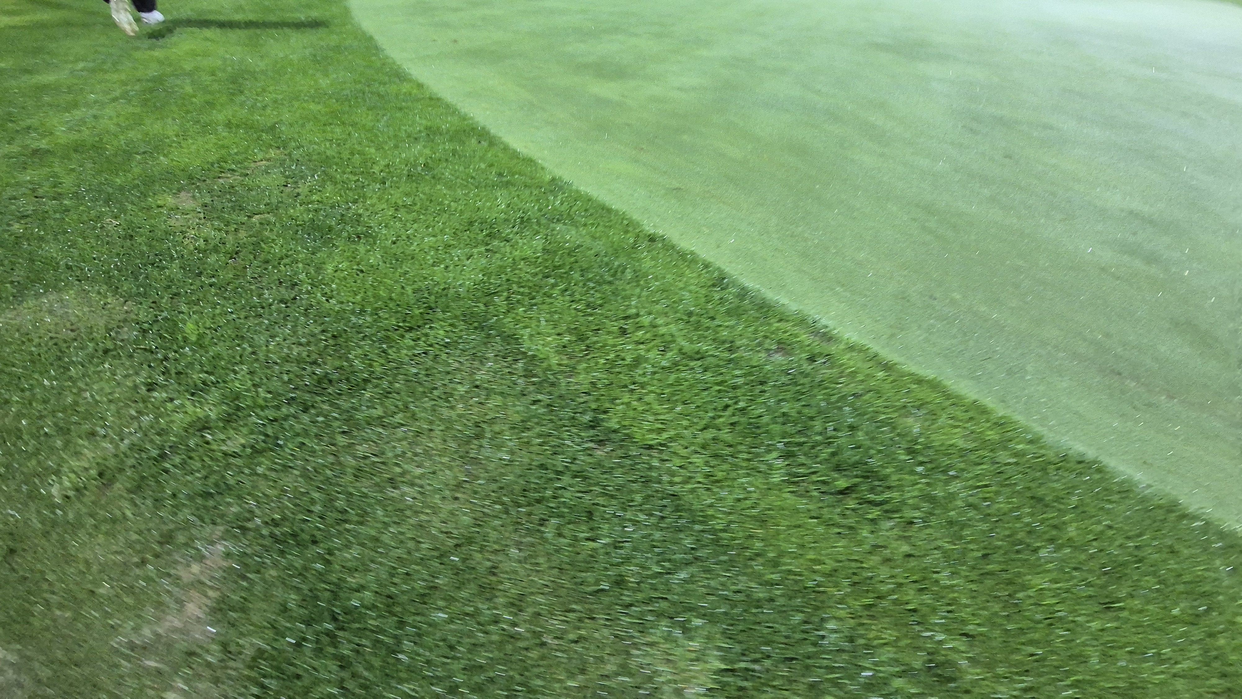 블루원용인cc 그린 관리 상태