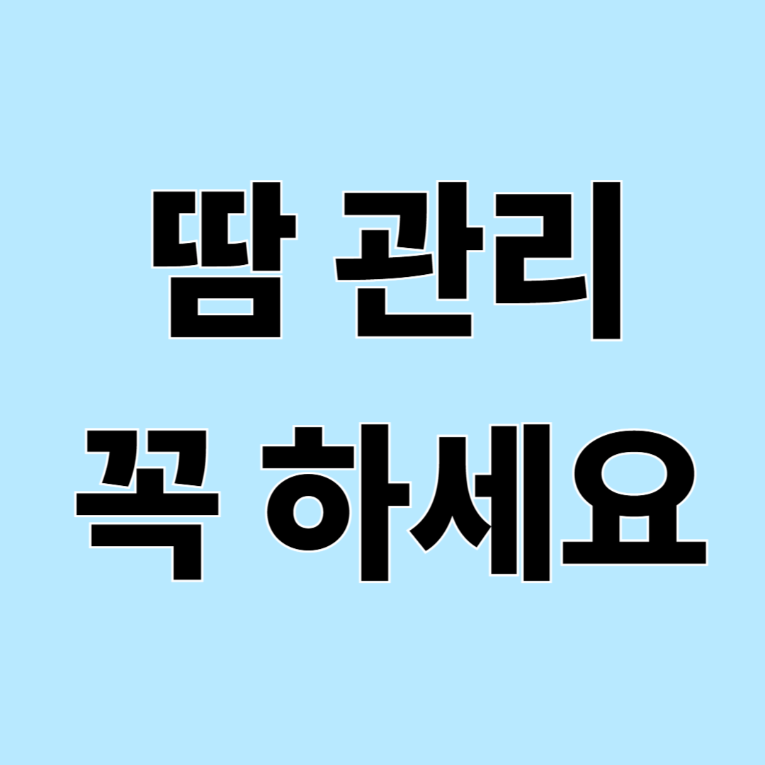 여름철 땀 관리 방법 – 피부염증·피부곰팡이 예방하기