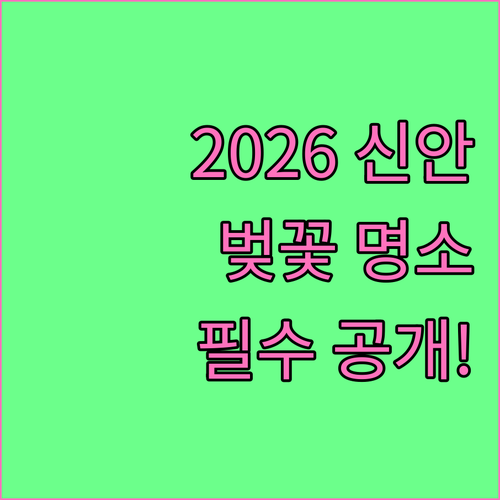 2026 신안 벚꽃 명소 및 축제 일..
