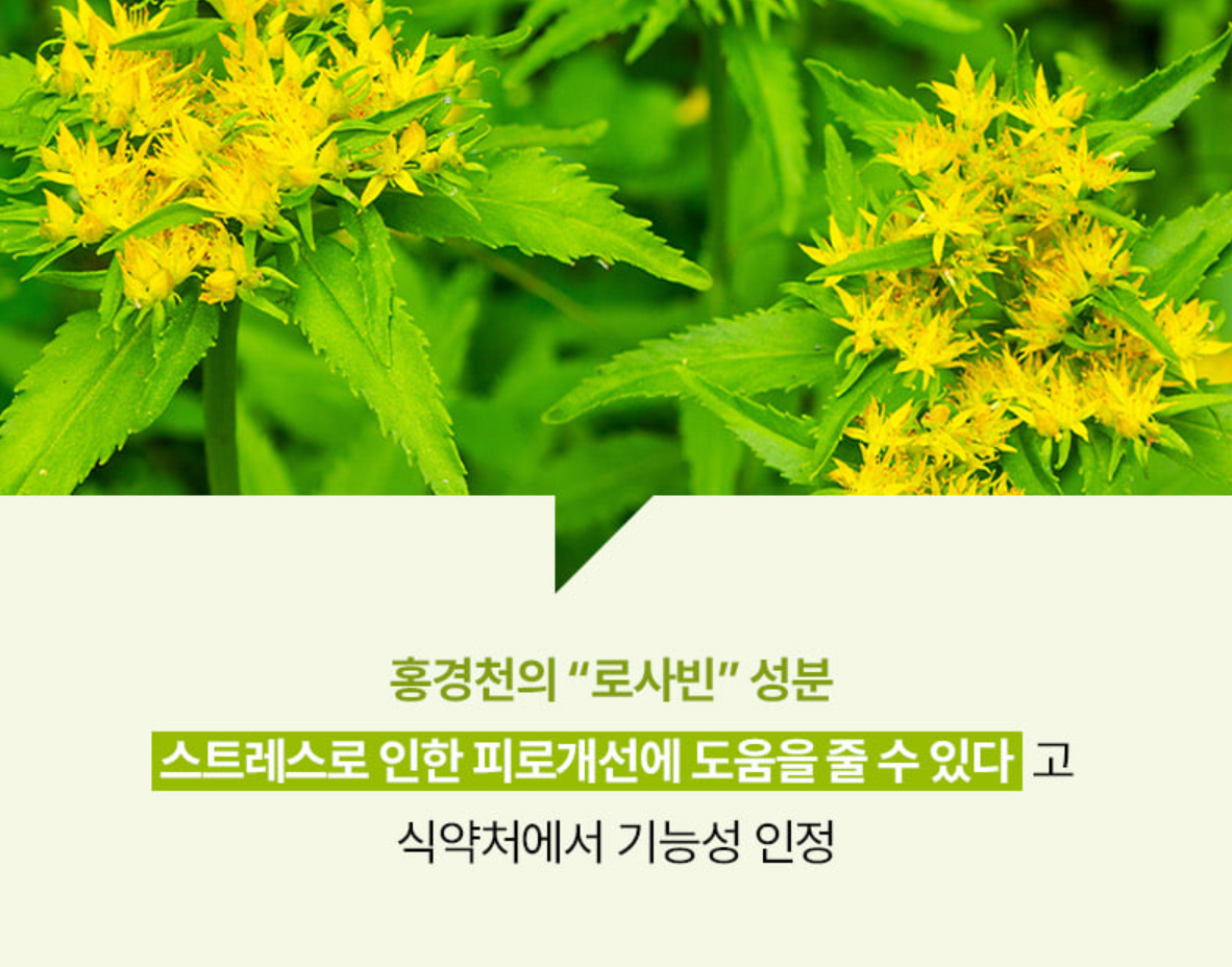 신봉선 다이어트 콜레올로지 컷 성분