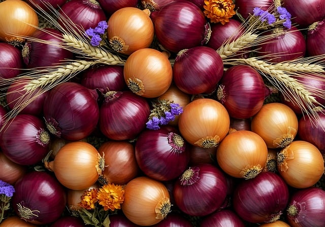 귀농 귀촌을 위한 월별 작물 재배 가이드 및 겨울철 농한기 준비