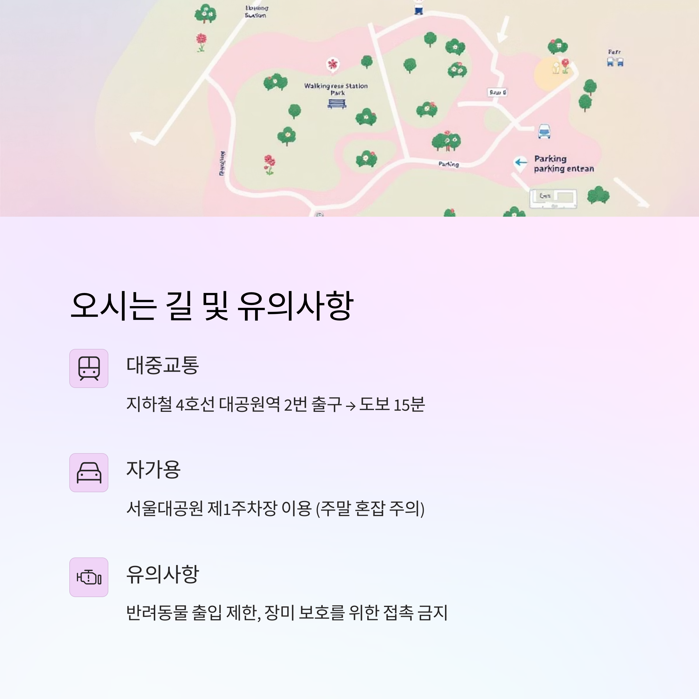 향기로 물드는 5월, 2024 서울대공원 장미축제 완벽 가이드