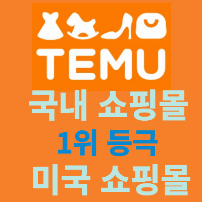 테무(Temu) 쇼핑몰