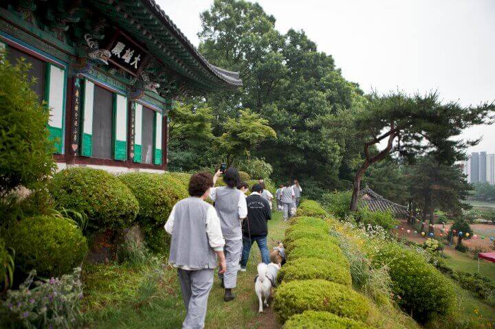 강아지와 함께 미륵사 산책로를 걷고 있는 사람들