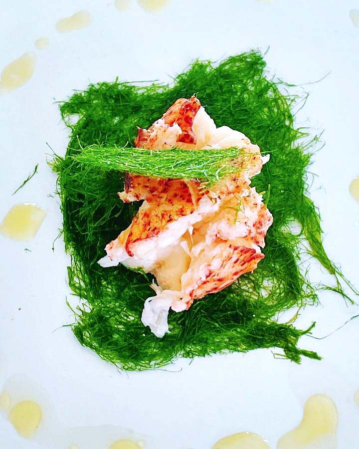 6시내고향 충남 태안 감태 파는 곳 전국 택배 온라인 전화 주문 추천