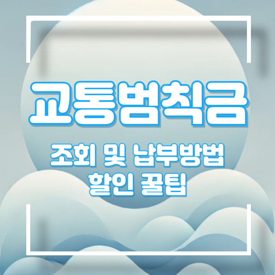 실시간 교통범칙금 조회