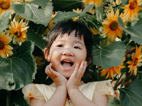 자녀장려금의 신청방법