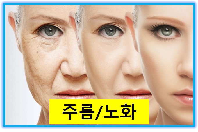 썬크림