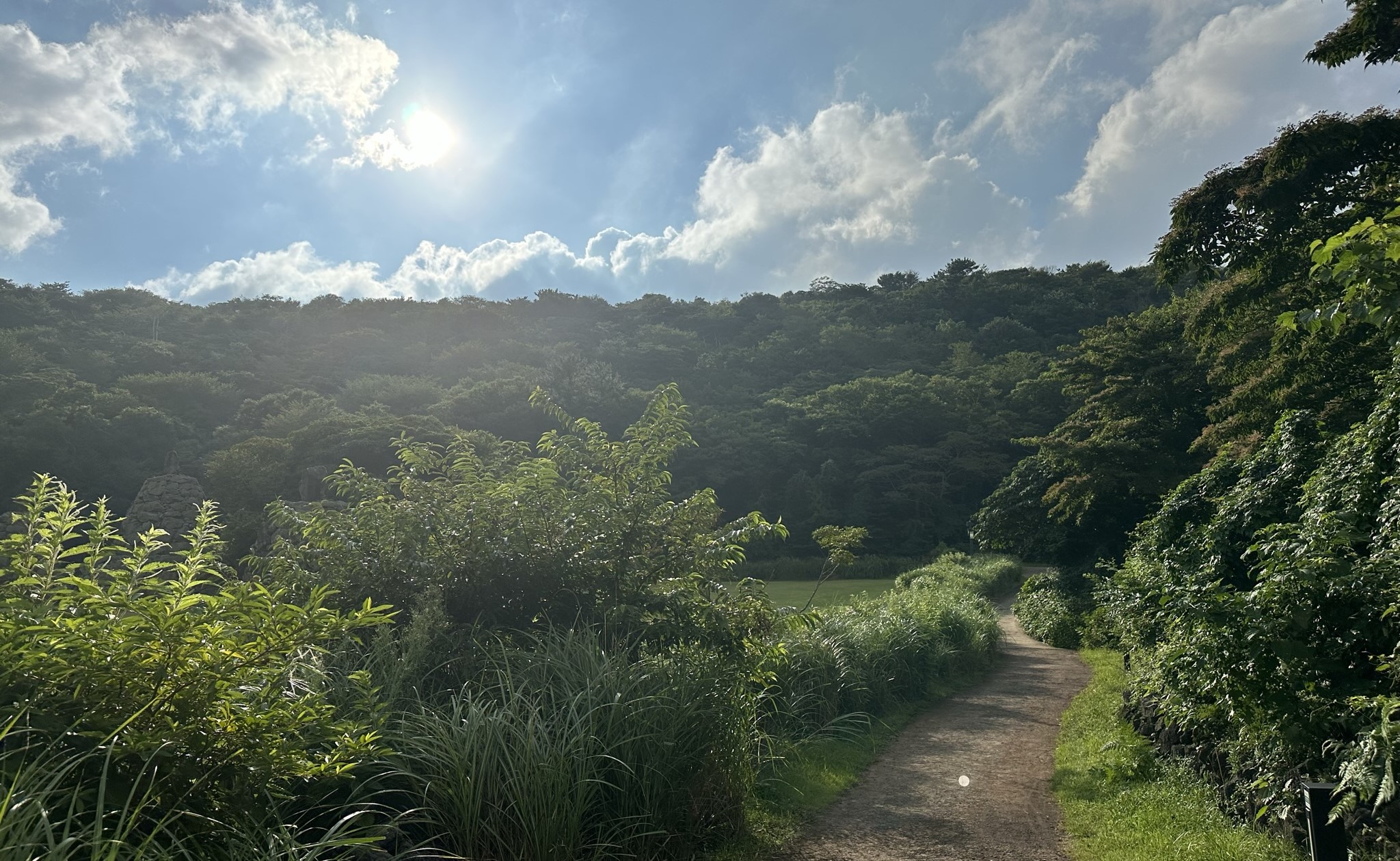 야영장 산책로