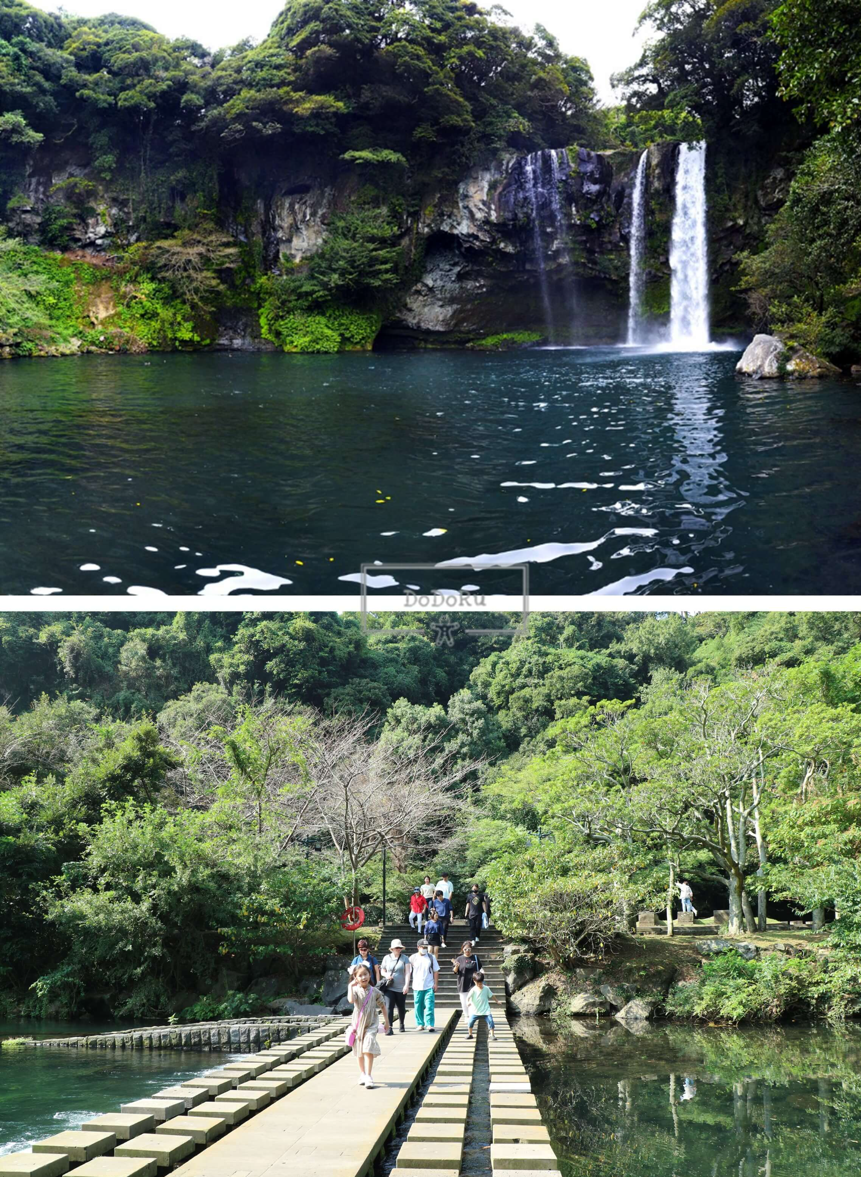 제주도-천지연-폭포