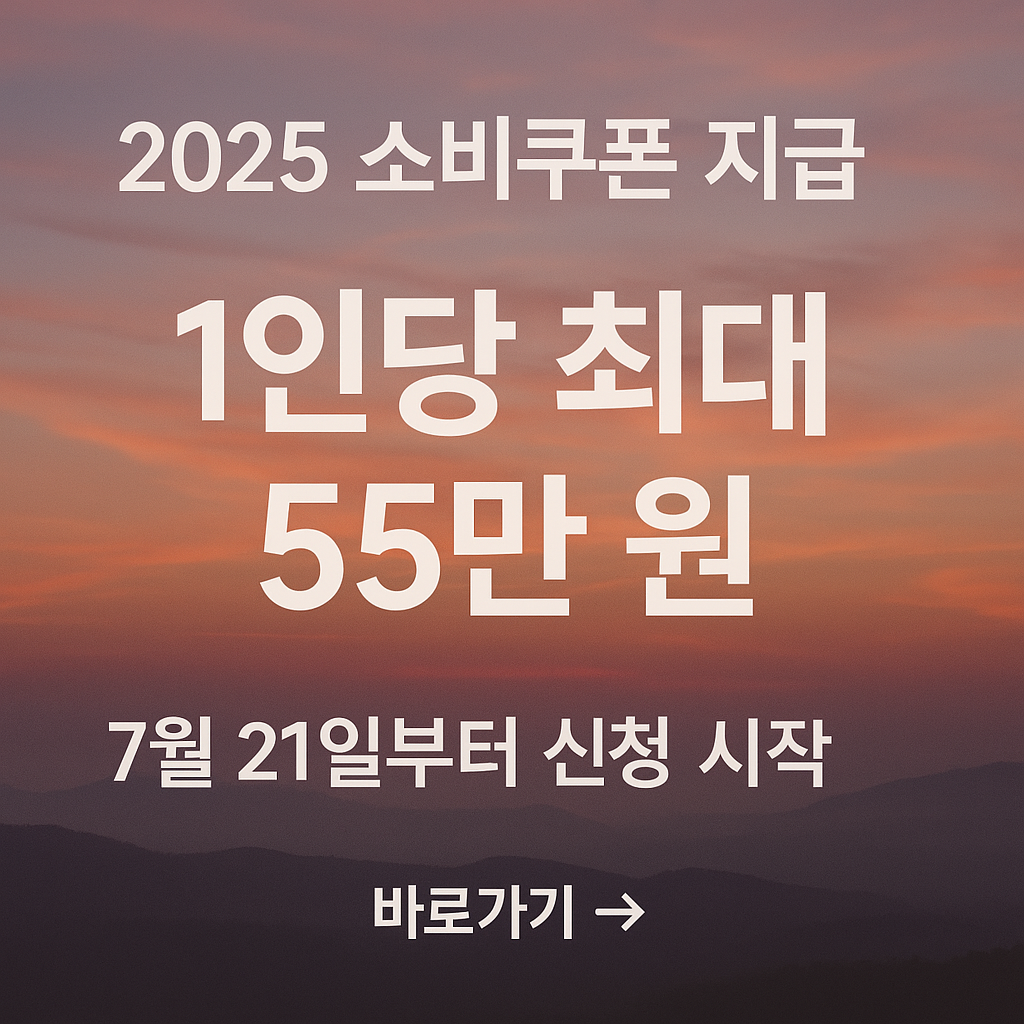 2025 전국민 민생 지원금 지급