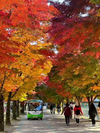 단풍구경 전국 명산 50대 이상 안전한 등산로 추천_15